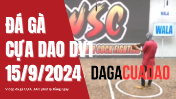 Đá Gà Cựa Dao Trực Tiếp Philippines Hôm Nay DV1 - 15/9/2024